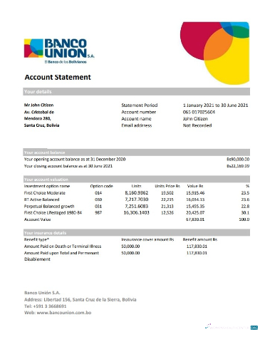 Download Bolivia Banco Union bank statement excel Photoshop template